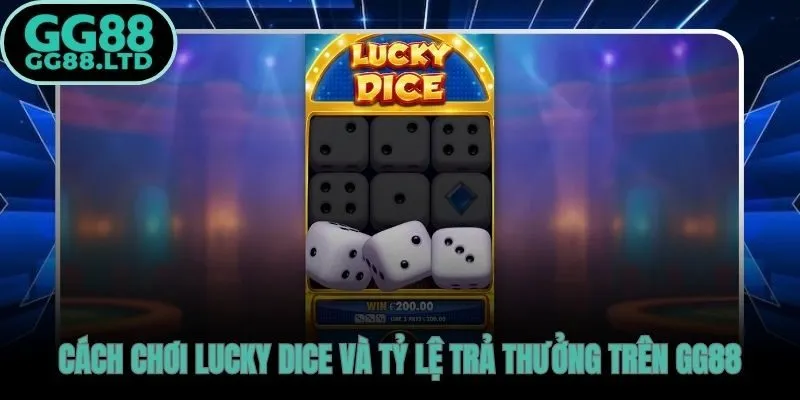 Lucky Dice GG88 quy trình đặt cược và tỷ lệ hoàn trả cụ thể